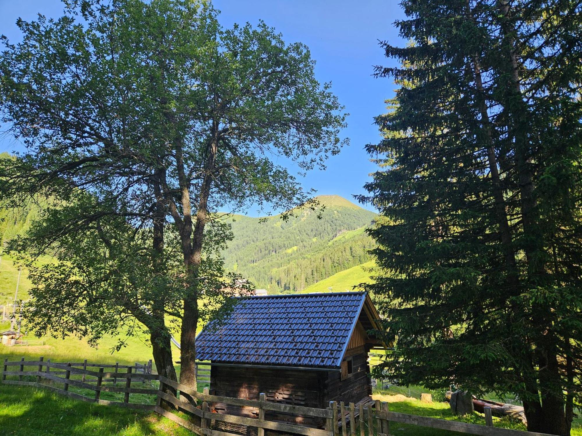 Kinder- Und Familienhotel Nockalm Innerkrems Bagian luar foto